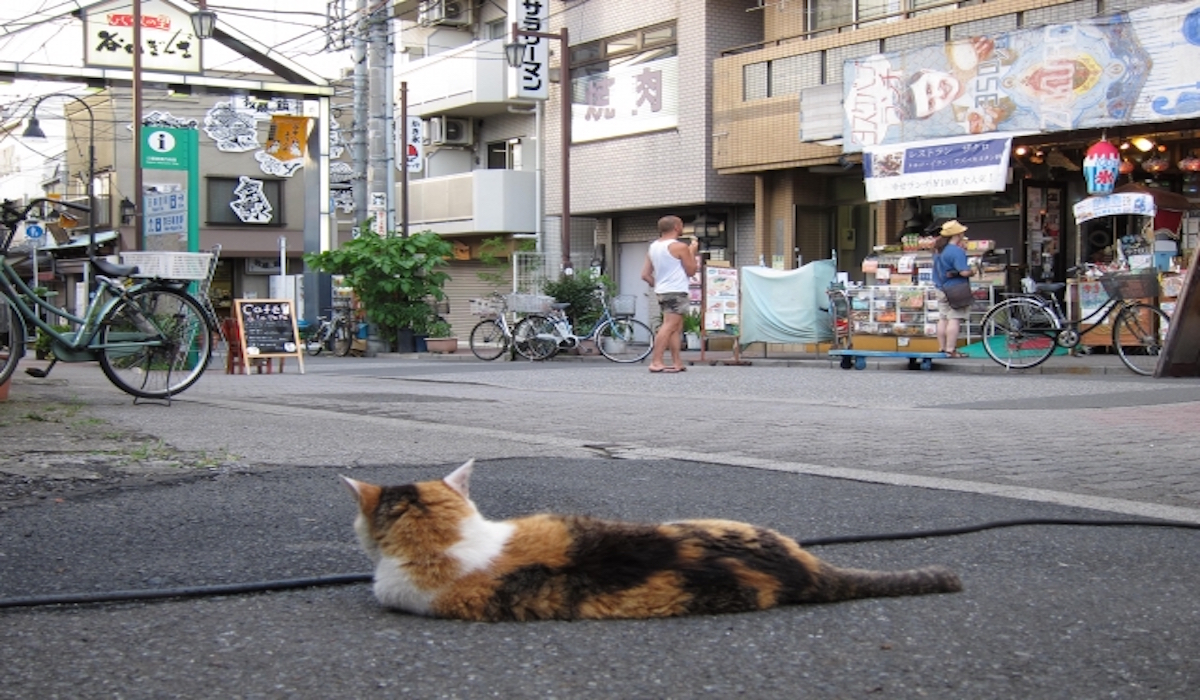 谷根千でビーガン和食をいただくなら 根津の谷 へ ウラスピナビ