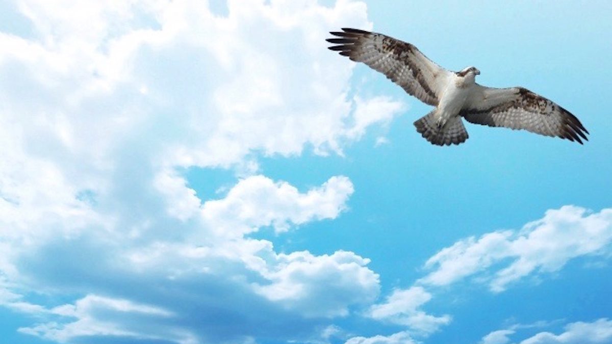マヤ暦エネルギー予報 青い鷲の13日間 ウラスピナビ